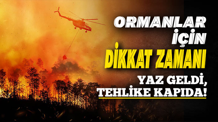 Yaz Geldi, Tehlike Kapıda: Ormanlar İçin Dikkat Zamanı