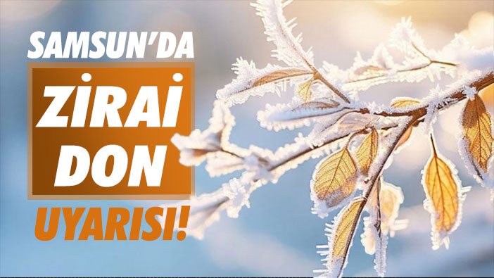 Samsun'da zirai don uyarısı!