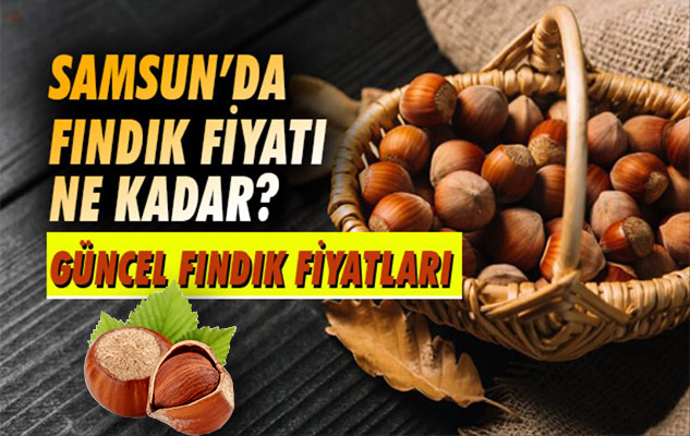 Fındık fiyatlarında son durum! İşte Samsun'da güncel fındık fiyatı