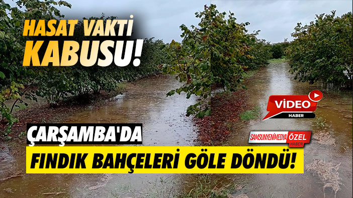 Hasat Vakti Kabusu: Çarşamba'da Fındık Bahçeleri Göle Döndü!